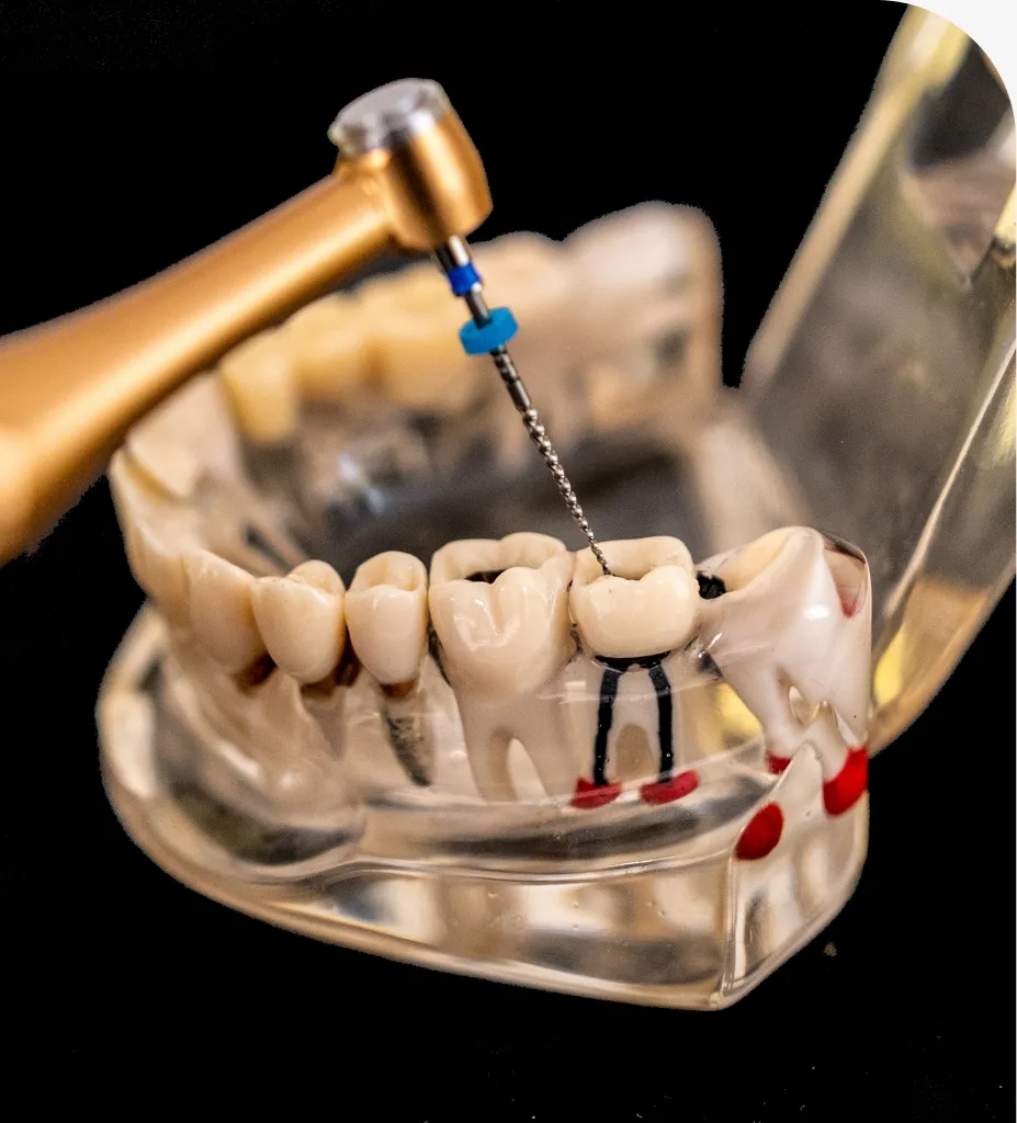 Sea Isle Smiles dental care