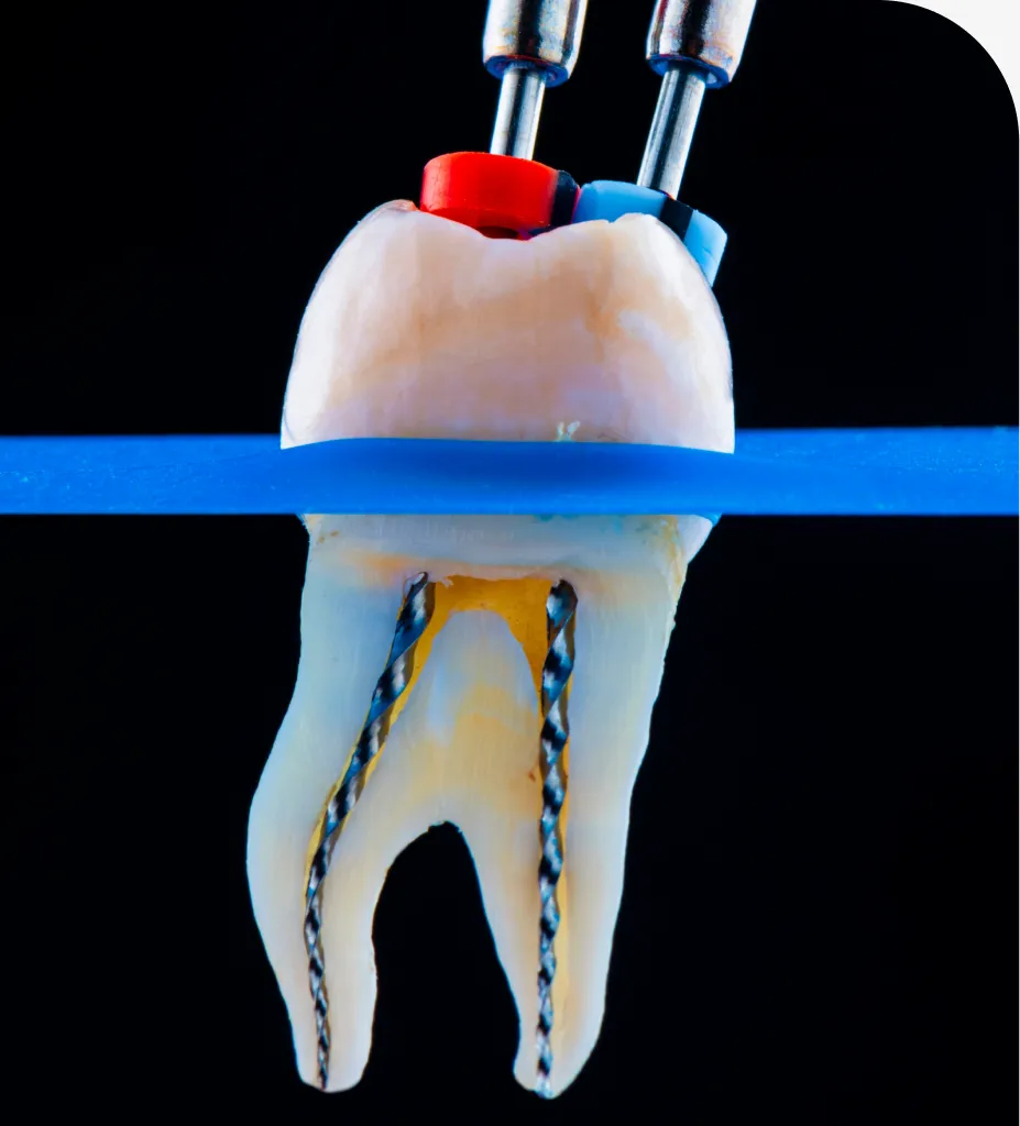 Sea Isle Smiles dental care